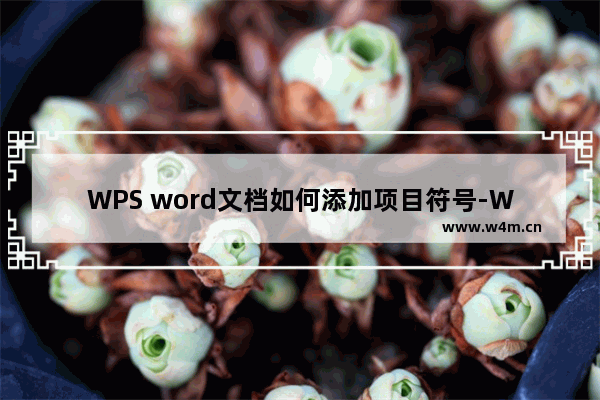 WPS word文档如何添加项目符号-WPS word文档添加项目符号的方法