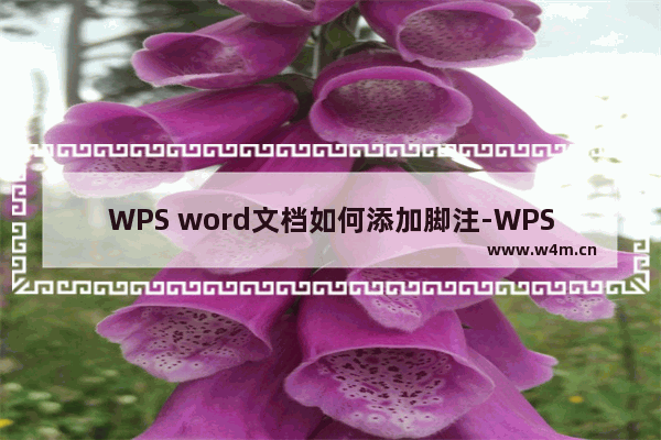 WPS word文档如何添加脚注-WPS word文档添加脚注的方法