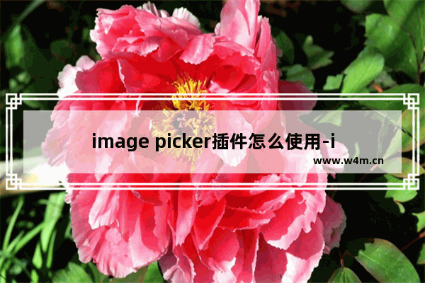 image picker插件怎么使用-image picker插件的使用方法