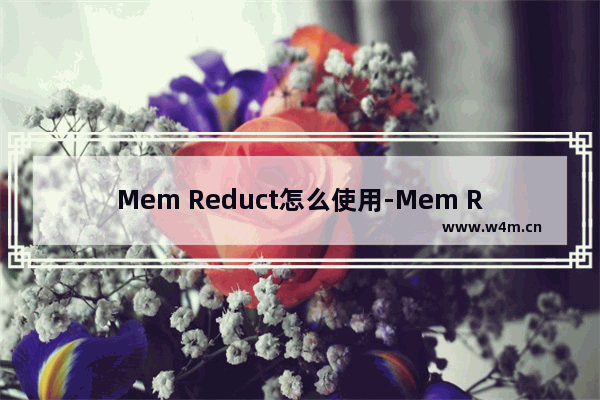 Mem Reduct怎么使用-Mem Reduct的使用方法