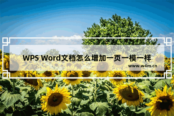 WPS Word文档怎么增加一页一模一样的-WPS Word文档增加一页一模一样的方法