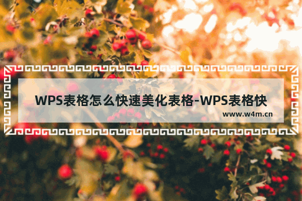 WPS表格怎么快速美化表格-WPS表格快速美化表格的方法