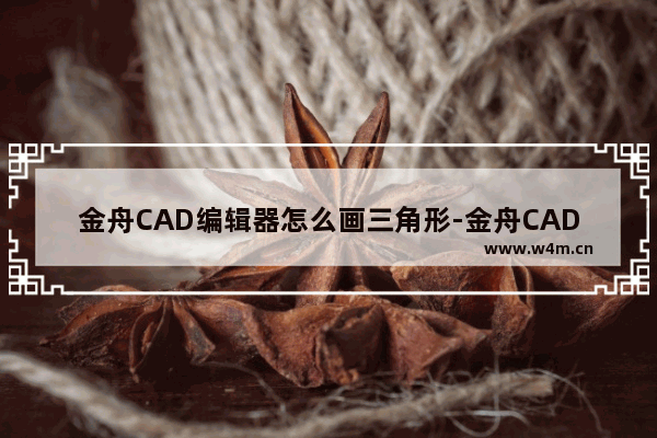 金舟CAD编辑器怎么画三角形-金舟CAD编辑器画三角形的方法