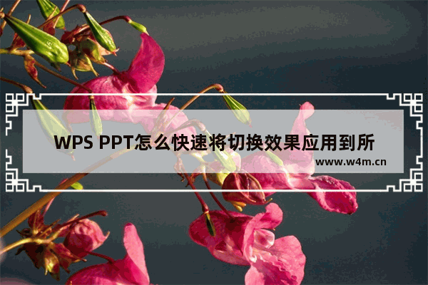 WPS PPT怎么快速将切换效果应用到所有页面-WPS PPT快速将切换效果应用到所有页面的方法