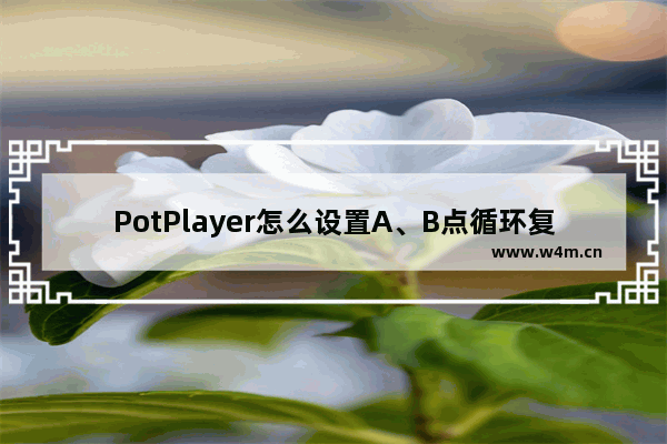 PotPlayer怎么设置A、B点循环复读播放-PotPlayer设置A、B点循环复读播放的方法