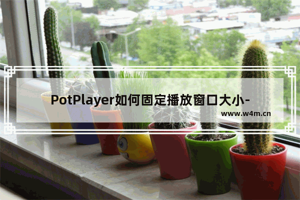 PotPlayer如何固定播放窗口大小-PotPlayer固定播放窗口大小的方法