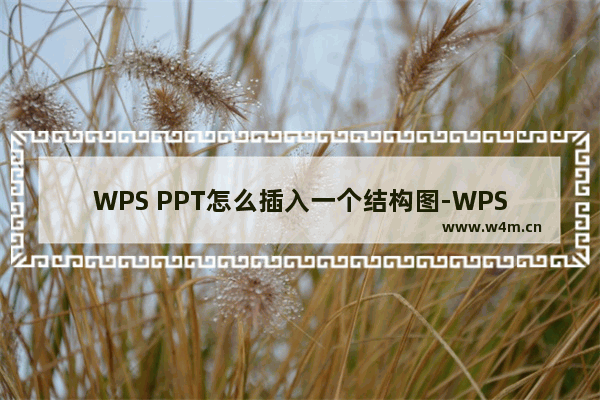 WPS PPT怎么插入一个结构图-WPS PPT插入一个结构图的方法