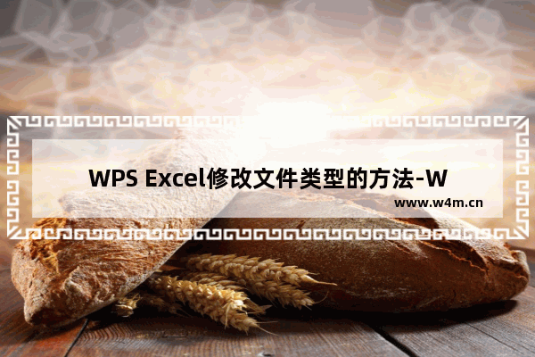 WPS Excel修改文件类型的方法-WPS Excel怎么修改文件类型