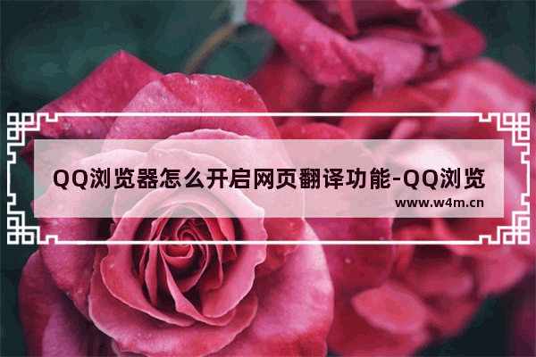 QQ浏览器怎么开启网页翻译功能-QQ浏览器开启网页翻译功能的方法