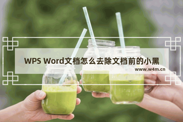 WPS Word文档怎么去除文档前的小黑点-WPS Word文档去除文档前的小黑点的方法