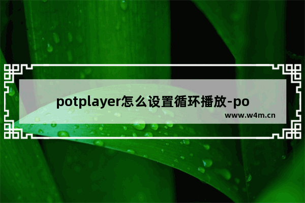 potplayer怎么设置循环播放-potplayer设置循环播放的方法