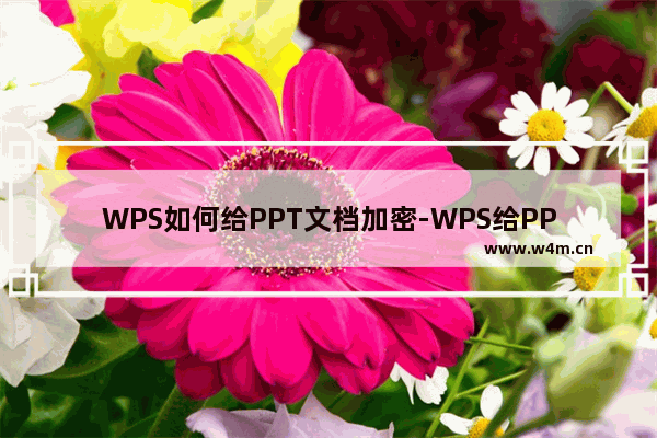 WPS如何给PPT文档加密-WPS给PPT文档加密的方法