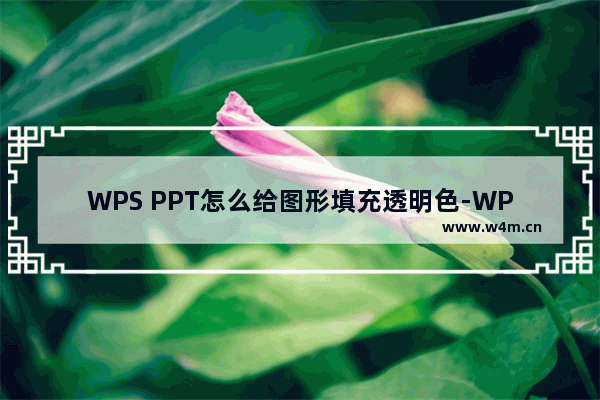 WPS PPT怎么给图形填充透明色-WPS PPT给图形填充透明色的方法