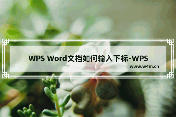 WPS Word文档如何输入下标-WPS Word文档输入下标的方法