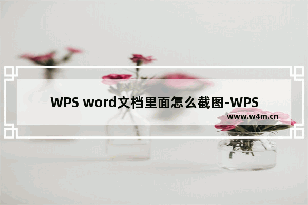 WPS word文档里面怎么截图-WPS word文档里面截图的方法