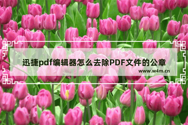 迅捷pdf编辑器怎么去除PDF文件的公章-迅捷pdf编辑器删除PDF文件中的公章的方法