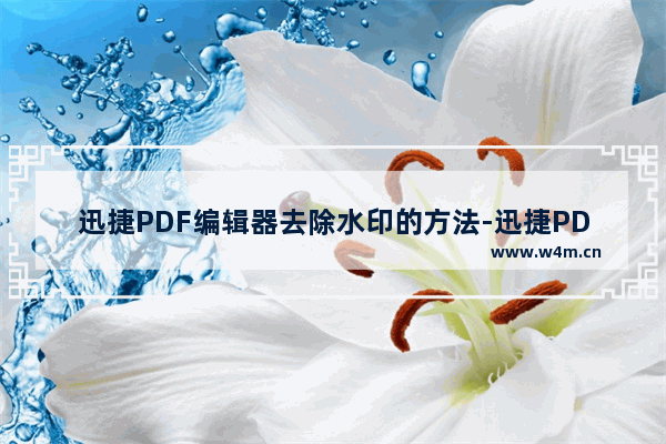 迅捷PDF编辑器去除水印的方法-迅捷PDF编辑器怎么去除水印