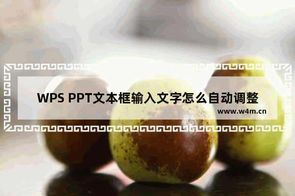 WPS PPT文本框输入文字怎么自动调整-WPS PPT文本框输入文字自动调整的设置方法