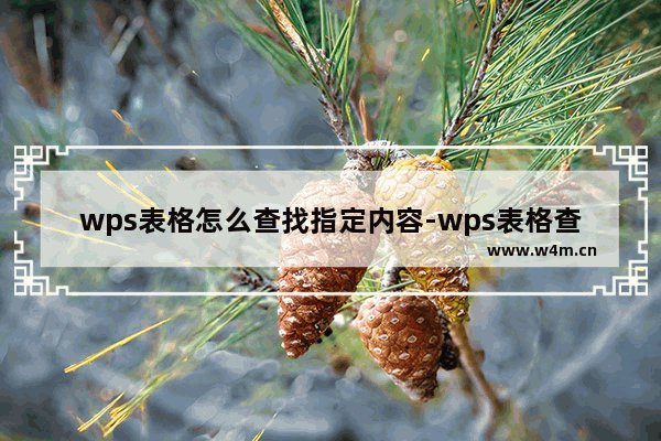 wps表格怎么查找指定内容-wps表格查找指定内容的方法