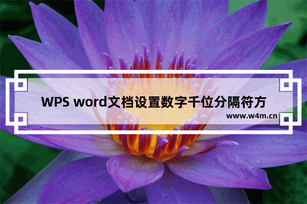 WPS word文档设置数字千位分隔符方法-WPS word文档怎么设置数字千位分隔符