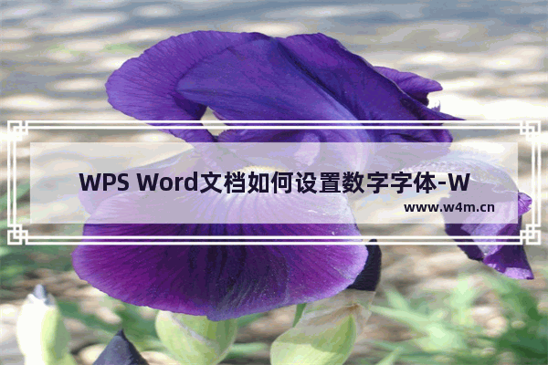 WPS Word文档如何设置数字字体-WPS Word文档设置数字字体的方法