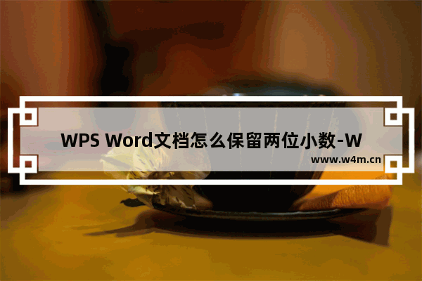 WPS Word文档怎么保留两位小数-WPS Word文档保留两位小数的方法