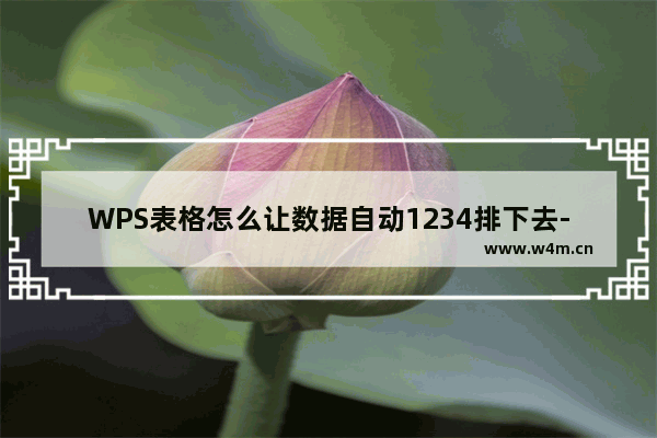 WPS表格怎么让数据自动1234排下去-WPS表格自动1234排下去的方法