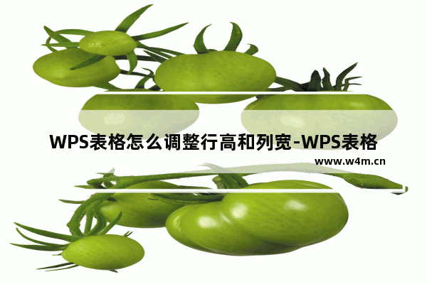 WPS表格怎么调整行高和列宽-WPS表格调整行高和列宽的方法