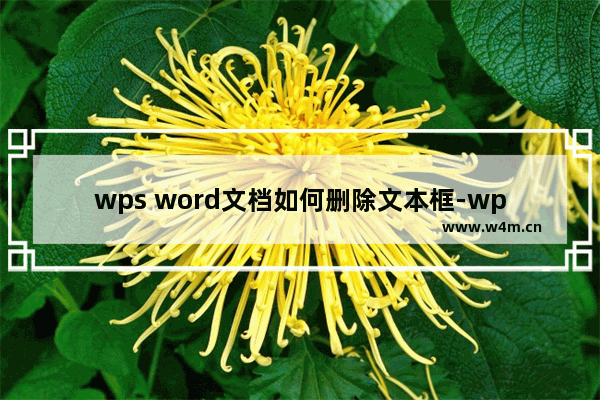 wps word文档如何删除文本框-wps word文档删除文本框的方法