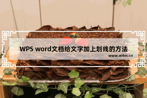 WPS word文档给文字加上划线的方法-WPS word文档怎么给文字加上划线