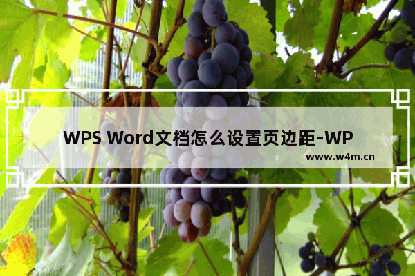 WPS Word文档怎么设置页边距-WPS Word文档设置页边距的方法