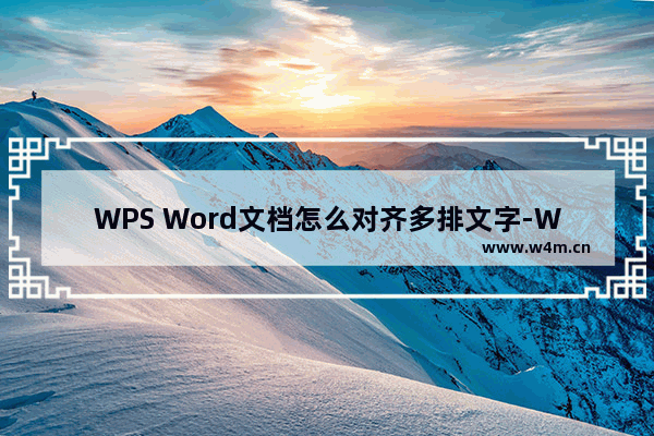 WPS Word文档怎么对齐多排文字-WPS Word文档对齐多排文字的方法