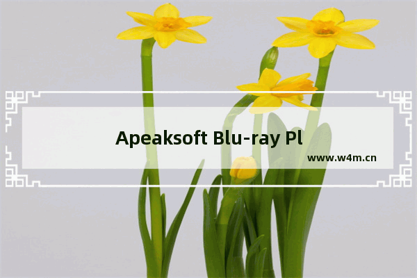 Apeaksoft Blu-ray Playe添加视频播放方法-Apeaksoft Blu-ray Playe如何添加视频播放