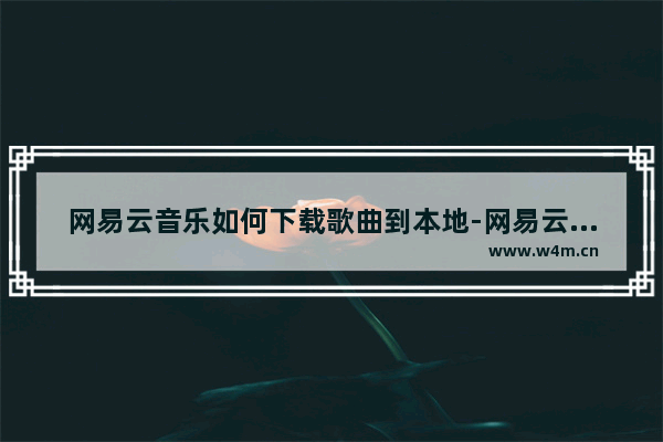 网易云音乐如何下载歌曲到本地-网易云音乐下载歌曲到本地方法