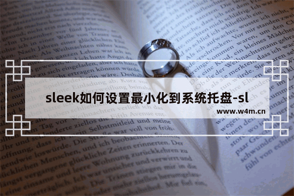 sleek如何设置最小化到系统托盘-sleek设置最小化到系统托盘的方法