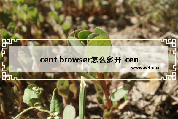 cent browser怎么多开-cent browser设置多开的方法