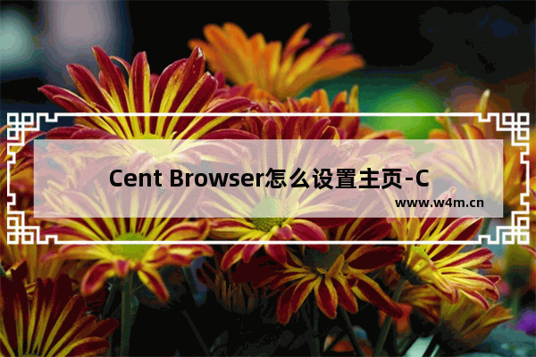 Cent Browser怎么设置主页-Cent Browser设置主页方法