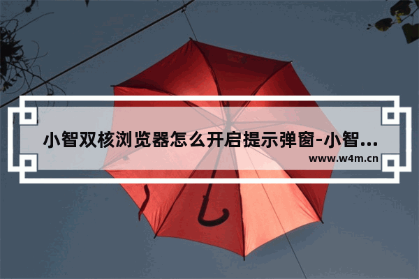 小智双核浏览器怎么开启提示弹窗-小智双核浏览器开启提示弹窗方法