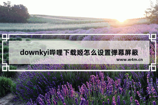 downkyi哔哩下载姬怎么设置弹幕屏蔽类型-downkyi哔哩下载姬设置弹幕屏蔽类型的方法