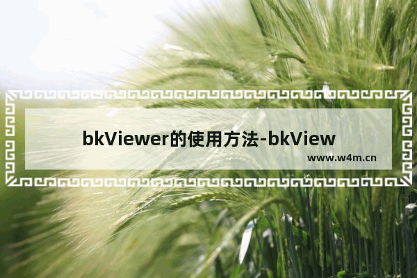 bkViewer的使用方法-bkViewer怎么使用