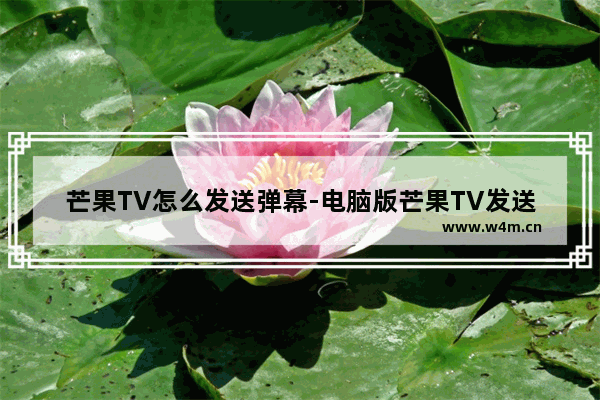 芒果TV怎么发送弹幕-电脑版芒果TV发送弹幕的方法