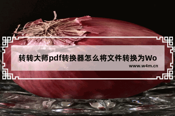 转转大师pdf转换器怎么将文件转换为Word-转转大师pdf转换器将文件转换为Word的方法