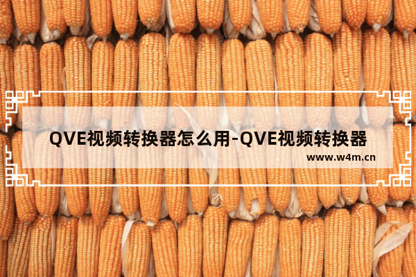 QVE视频转换器怎么用-QVE视频转换器使用方法