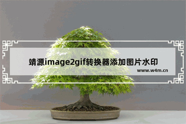 靖源image2gif转换器添加图片水印方法-靖源image2gif转换器如何添加图片水印