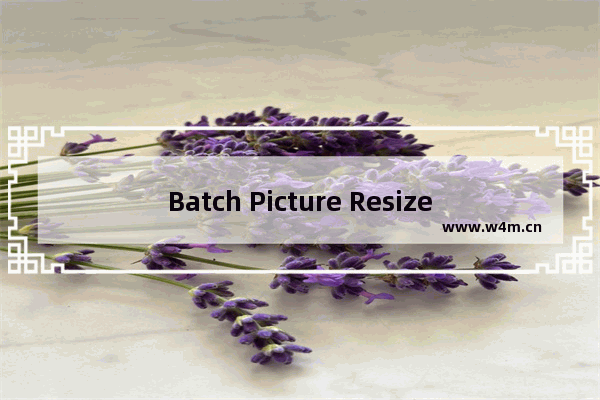 Batch Picture Resizer使用方法-Batch Picture Resizer怎么使用