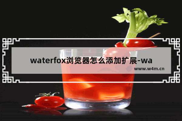 waterfox浏览器怎么添加扩展-waterfox浏览器添加扩展的方法