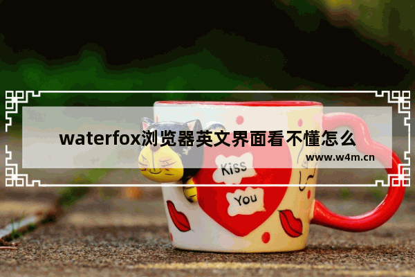 waterfox浏览器英文界面看不懂怎么办-waterfox浏览器英文界面看不懂的解决方法