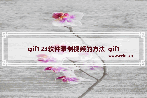 gif123软件录制视频的方法-gif123软件怎么录制视频