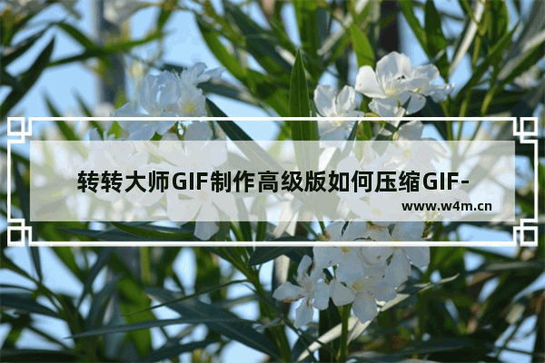 转转大师GIF制作高级版如何压缩GIF-转转大师GIF制作高级版压缩GIF的方法