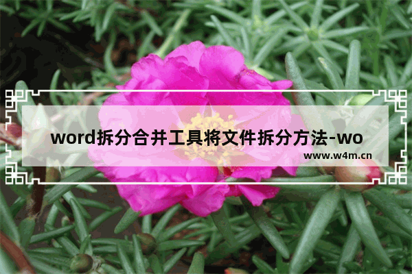 word拆分合并工具将文件拆分方法-word拆分合并工具如何拆分文件